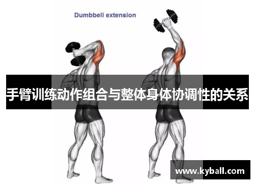 手臂训练动作组合与整体身体协调性的关系